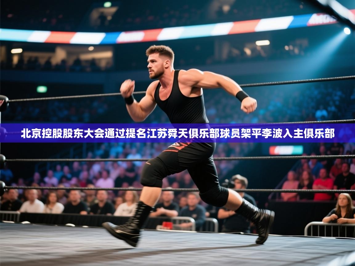 海星体育官方-北京控股股东大会通过提名江苏舜天俱乐部球员架平李波入主俱乐部 第3张
