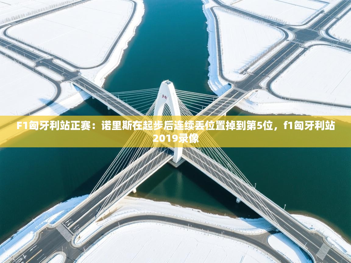 海星体育直播-F1匈牙利站正赛:诺里斯在起步后连续丢位置掉到第5位,f1匈牙利站2019录像 第1张