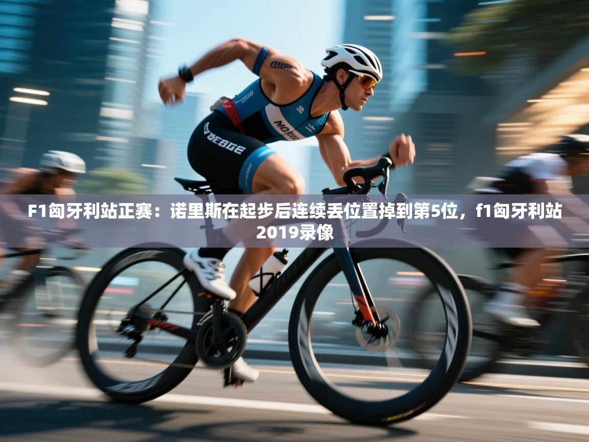 海星体育直播-F1匈牙利站正赛:诺里斯在起步后连续丢位置掉到第5位,f1匈牙利站2019录像 第3张