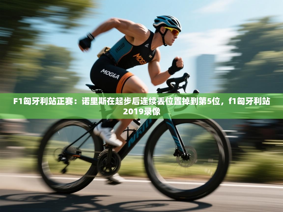 海星体育直播-F1匈牙利站正赛:诺里斯在起步后连续丢位置掉到第5位,f1匈牙利站2019录像 第4张