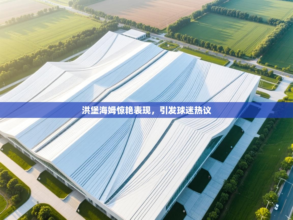 海星体育官网入口-洪堡海姆惊艳表现,引发球迷热议 第1张