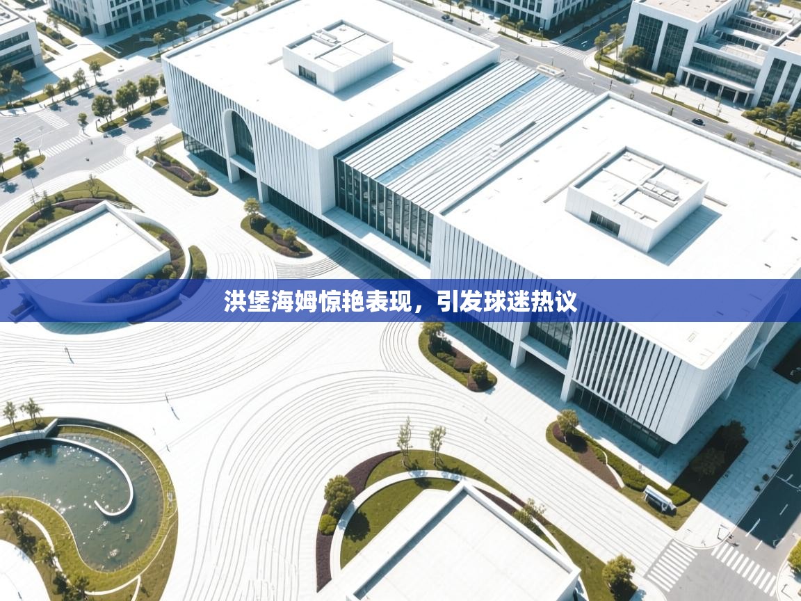 海星体育官网入口-洪堡海姆惊艳表现,引发球迷热议 第2张